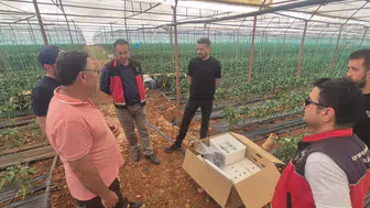 COP31 Kapsamında Elmalı'da Büyük Değişim: Seralar İçin Kritik Karar!