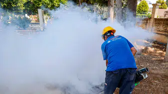 Sivrisinek Tartışmalarının Gölgesinde Antalya’da İlaçlama Sürüyor