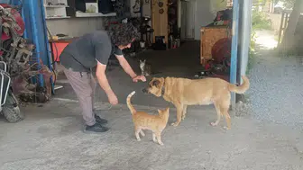 "Uyutalım" Dediler Reddetti: Kör Köpeği ve Tek Gözlü Kedisi Can Dostu