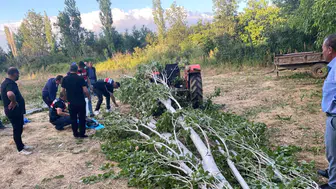 Isparta'da Kestiği Ağacın Altında Kalarak Can Verdi