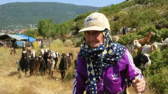 Çobanlığa 5 Yaşında Başladı, 94 Yaşında Hala Sürüsünün Başında