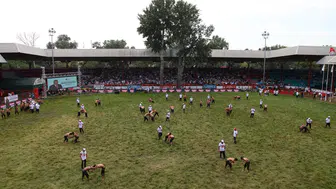 Er Meydanı’nda Antalyalı Rüzgarı!