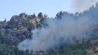 Alanya'da Zirai Yangın: Kiraz ve Zeytin Bahçeleri Kül Oldu