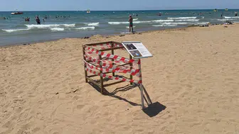 Antalya'da Caretta Caretta Yuvası Bilmecesi: Kafes Taşındı