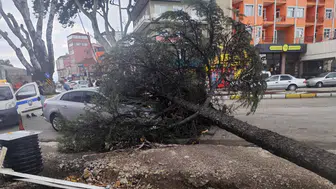 Isparta'da Fırtına Dehşeti: Dev Ağaç Otomobile Düştü