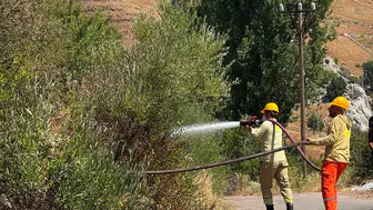 Alanya'da Korkutan Yangın: Ormana Sıçramadan Söndürüldü
