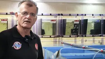 Antalya'da Tıbbi Şifa Kaynağı Doktor Balıklar Üretiliyor