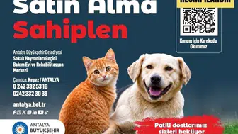 Antalya Büyükşehir Belediyesi Sokak Hayvanları Geçici Bakımevi Ve Rehabilitasyon Merkezi