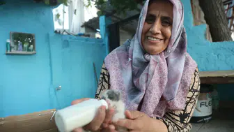 Annesiz Kalan 5 Yavru Kediye "Anne" Oldu: Geceleri Biberonla Besliyor