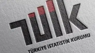TÜİK Açıkladı: İnşaat Maliyetleri ve Demografik Veriler