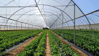 Antalya'daki Seracılar Dikkat! 2027 KOBÜKS Kayıt Dönemi Başladı