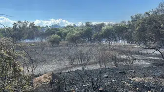 Manavgat Titreyengöl'de Sazlık Alanda Yangın: Alevler Oteller Bölgesine Yöneldi