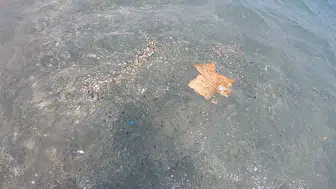 Antalya Kıyılarında Gizli Tehlike: Meltem Rüzgarları Mikroplastik Yağdırdı!