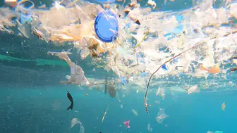 Sahilleri Boğan Plastik Atık Krizi İçin Antalya'da Acil Koordinasyon Toplantısı