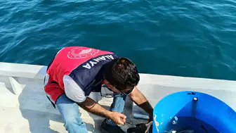 Antalya’da Mersin Balığı ve Alabalık Mercek Altında: Aksu’dan Alanya’ya Denetim!