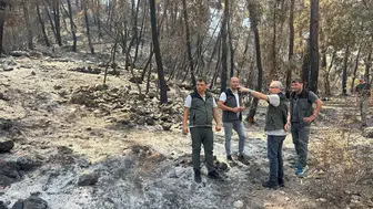 Kumluca'daki Yangın Bölgesinde Üst Düzey İnceleme!