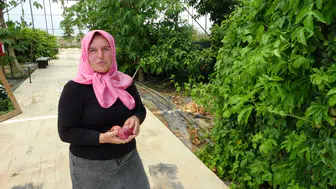 Çatıda Başlayan Hayal Manavgat'ta Tropikal Müze Oldu