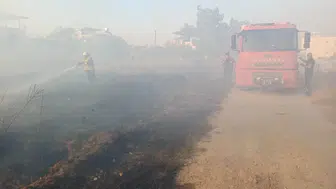 Hatay'da Zeytinlik Yangını: Evlere Sıçramadan Söndürüldü