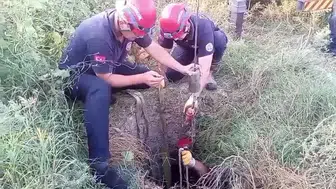 Kuyudan Çıkarılan İneğine Kavuşan Kadın Gözyaşı Döktü