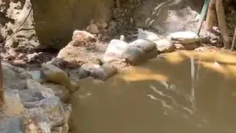 Alanya’da Hacet Deresi’ne Atık Su Skandalı! Sorumlulara Suç Duyurusu
