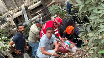 Dörtyol'da Yayla Yolunda Dehşet: Kamyonet Şarampole Uçtu
