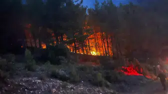 Alanya Gözüküçüklü'de Sabaha Karşı Orman Yangını: 7 Dönüm Alan Yandı
