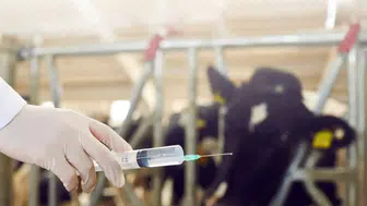 Çiftçilere 688 Milyon TL’lik Destek Ödemesi: Hesapları Kontrol Edin