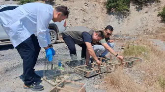 Kuş Sesi Tuzağıyla Yakalandılar! 175 Saka Kuşu Kurtarıldı, Kaçak Avcılara 2.2 Milyon TL Ceza