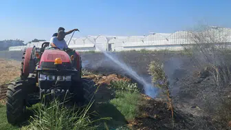 Antalya'da Otluk Alanda Çıkan Yangın Seralara Sıçradı: 1,5 Saatte Kontrol Altına Alındı
