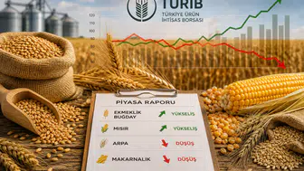 Ekmeklik Buğday ve Mısırda Yükseliş, Arpa ve Makarnalıkta Düşüş