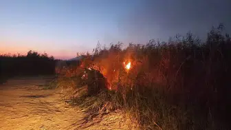 Hatay'da Kamışlık Yangını Paniği! Alevler Büyümeden Söndürüldü