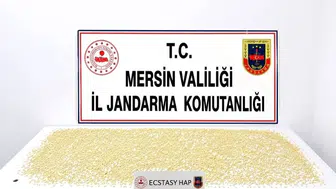 Yenişehir'de Uyuşturucu Operasyonunda 3 Bin 760 Hap Bulundu