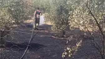 Dörtyol'da Bahçe Yangını Büyümeden Kontrol Altına Alındı