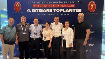 Antalya Veteriner Hekimler Odası Sandığa Gidiyor