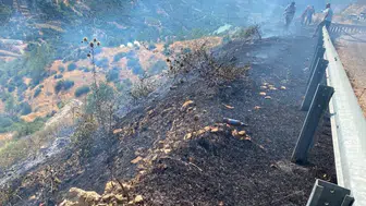 Alevler Ormana İlerlemeden Durduruldu! Mersin'deki Yangın Kontrol Altında