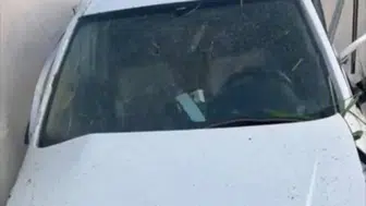 Mersin'de Kontrolden Çıkan Otomobilin Seraya Devrilmesi Sonucu 1 Kişi Hayatını Kaybetti