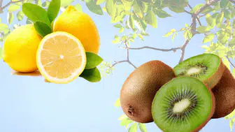 Antalya Toptancı Hali'nde Güncel Fiyatlar: Kivi ve Lime Limon Zirvede