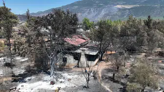 Kaş'ta Orman Yangını Çavdır ve Palamut Mahallelerini Vurdu!