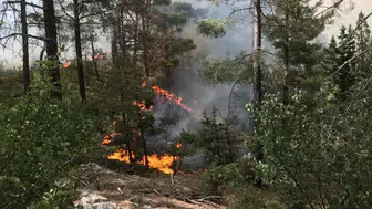 Akseki Güzelsu'da Orman Yangını Çıktı!