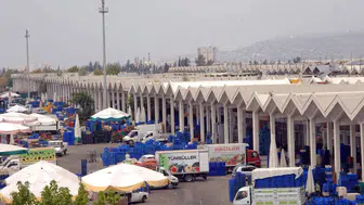 Ticaret Bakanlığının soruşturması Antalya Hali'ne uzandı
