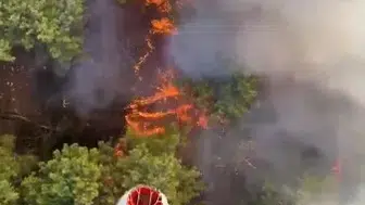 Aksu'da Korkutan Orman Yangını!