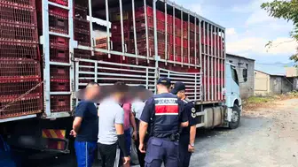 Antalya Dahil 81 İlde 19 Organizatör ve 230 Düzensiz Göçmen Yakalandı