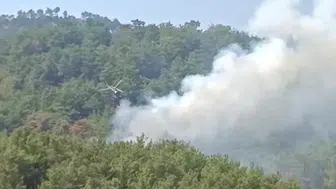 Kozan'da Orman Yangını Yeniden Başladı: Havadan ve Karadan Müdahale
