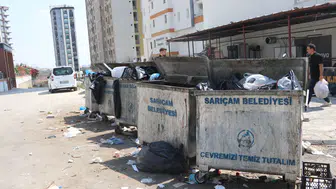 Adana'da Toplanmayan Çöplere Vatandaşlar İsyan Etti: Kendileri Topladı