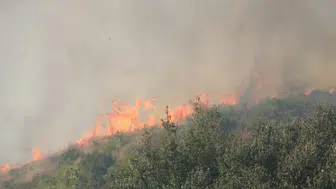 Adana'da yangın büyüyor! 70 Hektar Orman Kül Oldu