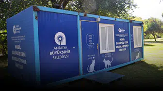 Antalya'da mobil kedi kısırlaştırma ünitesi Karaalioğlu Parkı'nda