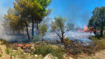 Serik'te Alevler Ormanı ve Seraları Tehdit Etti