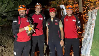 Alanya'da 4 Gün Önce Sera Kuyusuna Düşen Kedi Kurtarıldı