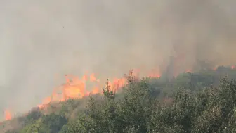 Adana'da yangın büyüyor! 70 Hektar Orman Kül Oldu