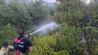 Hatay'da korkutan yangın! Erken müdahale faciayı önledi